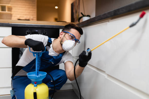 Best Wildlife Control Services  in White Haven, PA