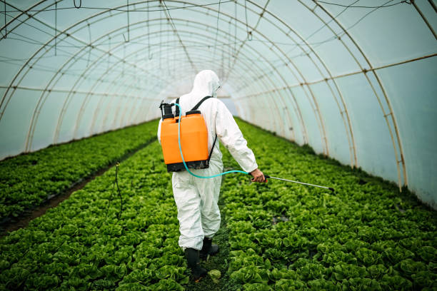 Best Pest Removal Services  in White Haven, PA