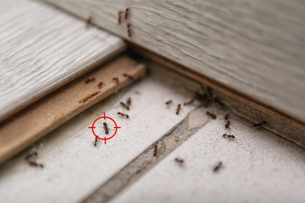 Best Wildlife Control Services  in White Haven, PA