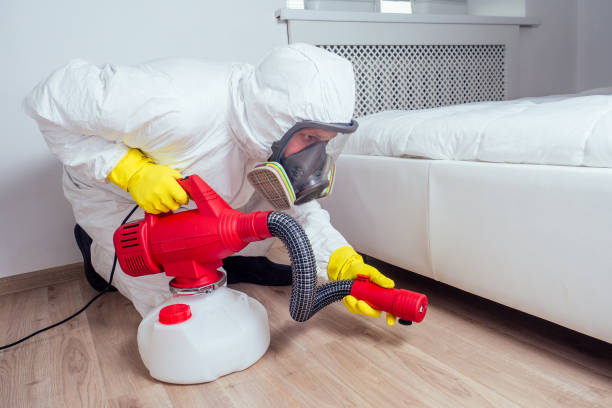 Best Wasp Removal Services  in White Haven, PA