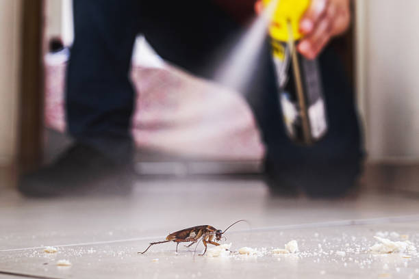 Best Pest Control Treatment  in White Haven, PA