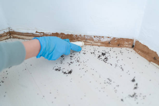Best Residential Pest Control  in White Haven, PA